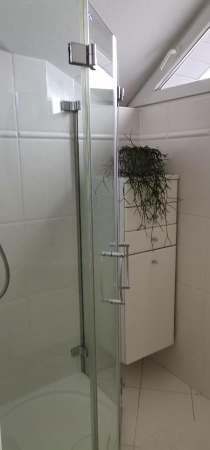 Appartamento Haus Jastrinsky Dorfgastein Esterno foto